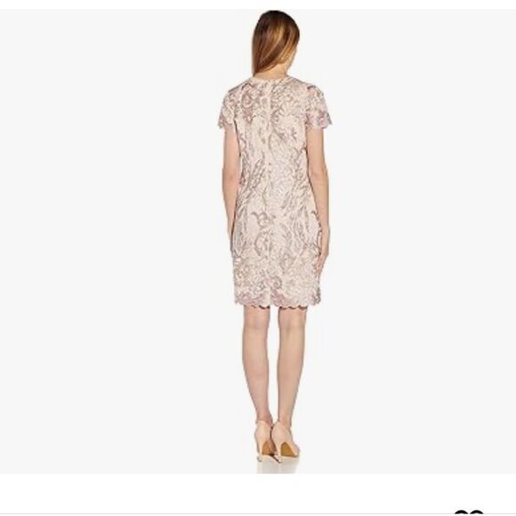 Adrianna Papell Women's Lace a Line Shift Dress Joyful Blush Wedding Lace dress - Picture 3 of 12